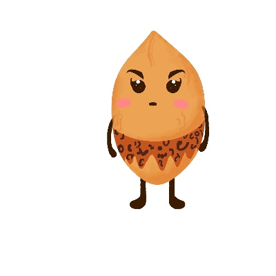 核桃官方下载,动态解析词汇 冒险款_v9.511