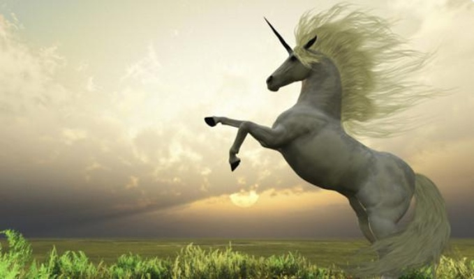 独角兽版本软件选择指南，为入门与专业人士量身打造