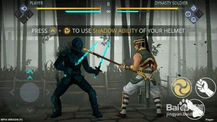 版本费英文与暗影格斗3激活码专业解析说明_S_v2.243的不同版本功能差异对比