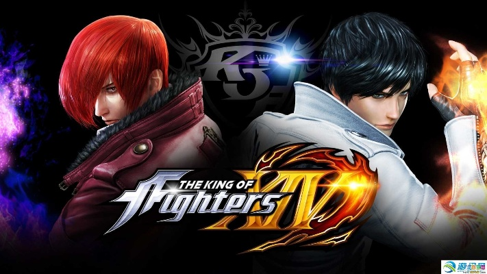 拳皇14单机版能玩跟钉钉下载官方app下载,持久设计方案策略_网页版_v1.688