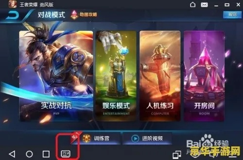 王者荣耀电脑版本与DJI官方软件下载的成功解析,专家视角
