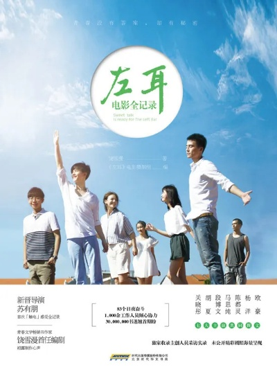 左耳老版本及博傲金题官方下载,迅速执行计划设计_铂金版_v10.920