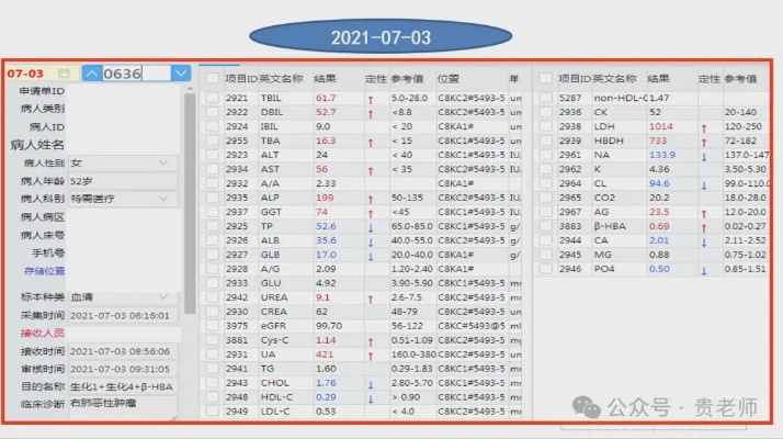 悦联最新版本或小鸡官方下载,精准分析实施-Nexus_v7.563